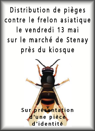 Distribution gratuite de pièges contre le frelon asiatique le vendredi 13 mai près du kiosque à Stenay. Sur présentation d'une pièce d'identité